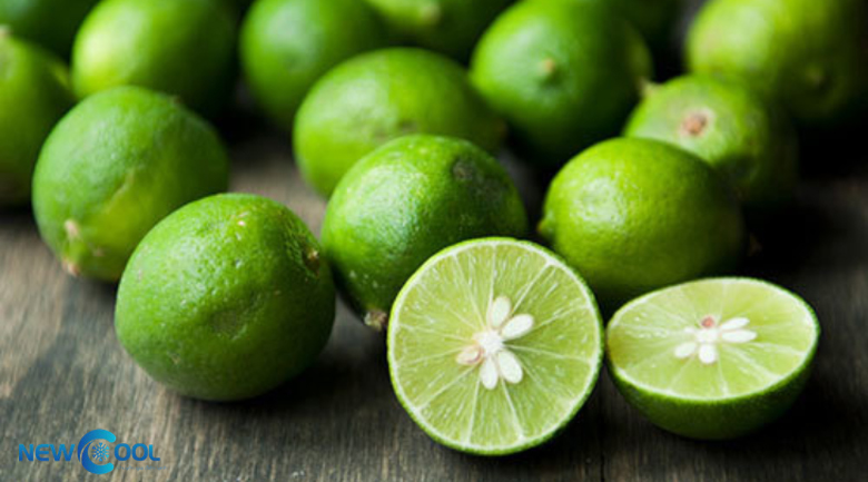 tủ đông có chức năng kháng mùi không, mẹo vặt