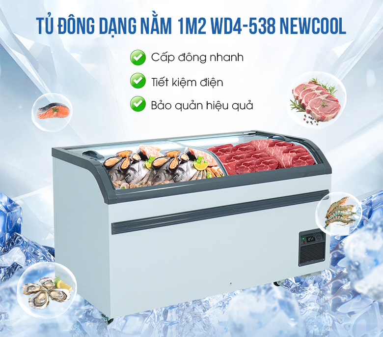 Tủ đông nằm kính cong 1m2 WD4-538 NEWCOOL