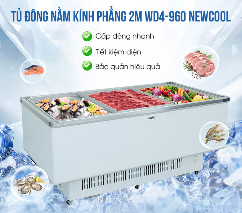Tủ đông nằm kính phẳng 2m WD4-960 NEWCOOL