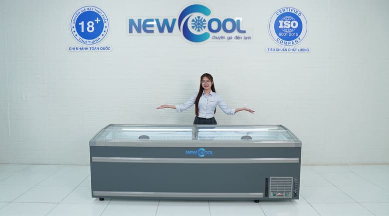 Tủ đông nằm trưng bày thực phẩm 2m5 SWD-2500D