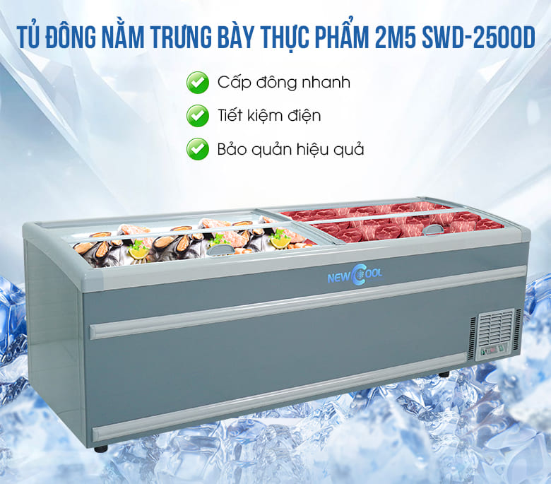Tủ đông nằm trưng bày thực phẩm 2m5 SWD-2500D