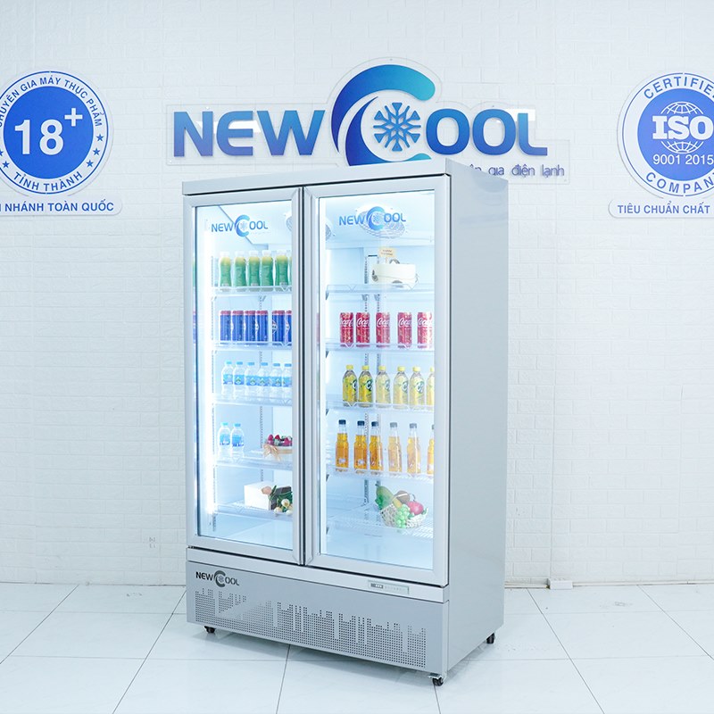 Tủ mát 2 cánh kính cao cấp NEWCOOL KXG-1253 (lốc dưới) - 1