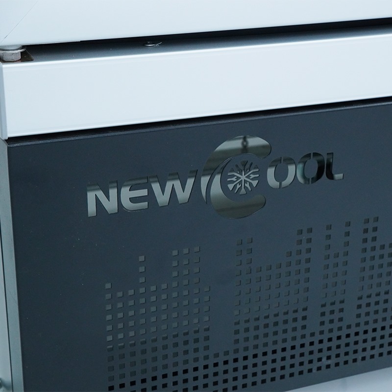 Tủ mát 3 cánh kính cao cấp NEWCOOL KXG-1880 (lốc dưới) - 7