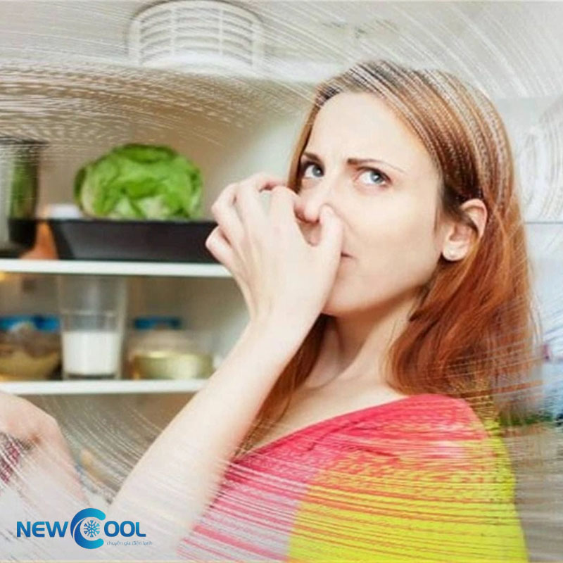 Tủ mát có chức năng kháng mùi không? Các công nghệ mới