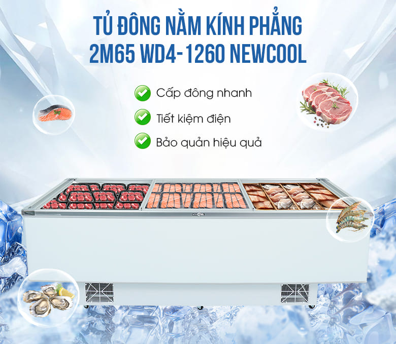 Tủ đông nằm kính phẳng 2,65m WD4-1260