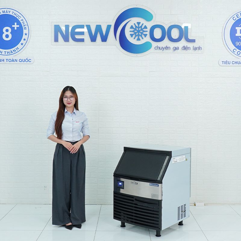 Máy làm đá viên 90kg SK-210P - 1
