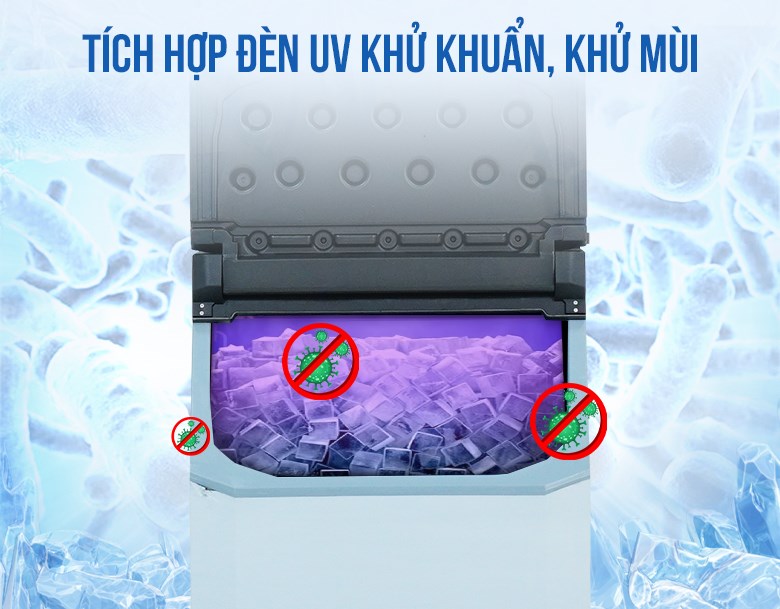Đèn UV khử khuẩn đảm bảo độ sạch của đá