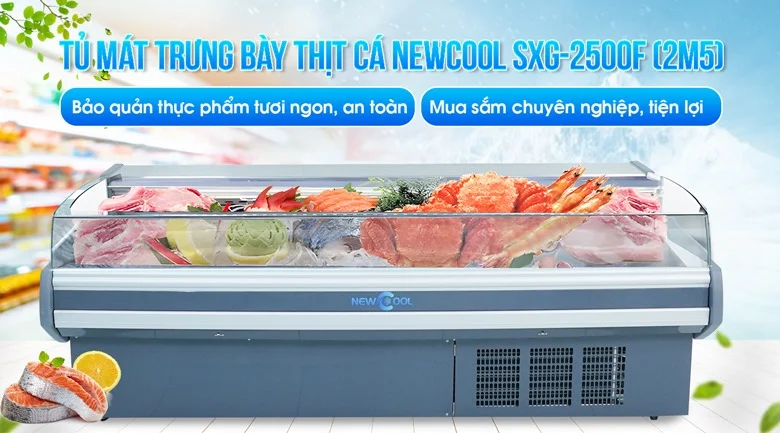 Tủ đông trưng bày thịt cá tươi SXG-2500F (không cửa)