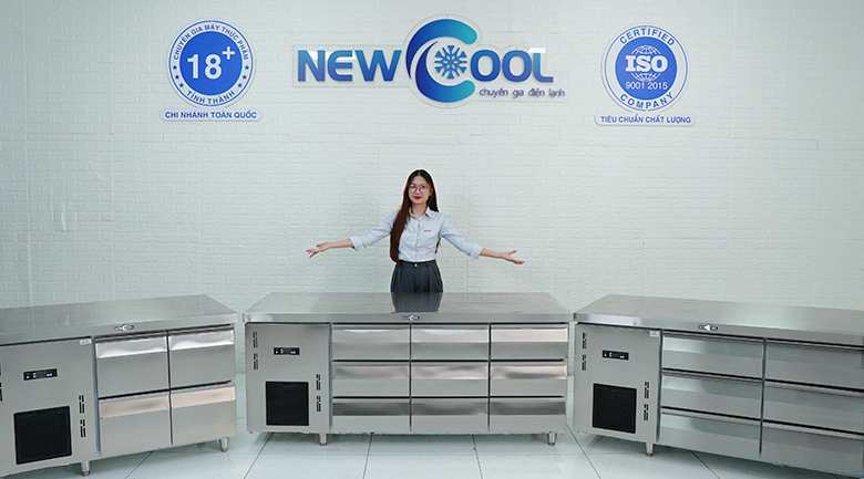 NEWCOOL- Đơn vị cung ứng bàn mát sơ chế 6 ngăn kéo 1500Z-6T giá tốt