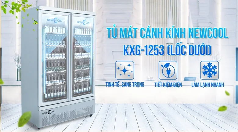 Trưng bày nước nên dùng loại tủ nào? Tủ mát 2 cánh kính NEWCOOL KXG-1253 (lốc dưới) 