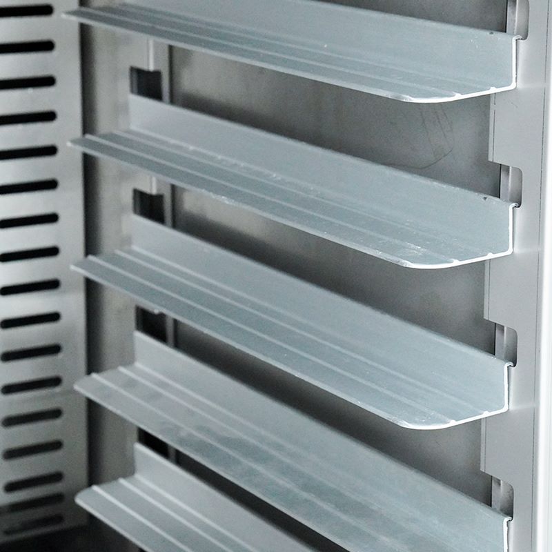 Tủ cấp đông nhanh 10 khay SDG010 NEWCOOL - 3
