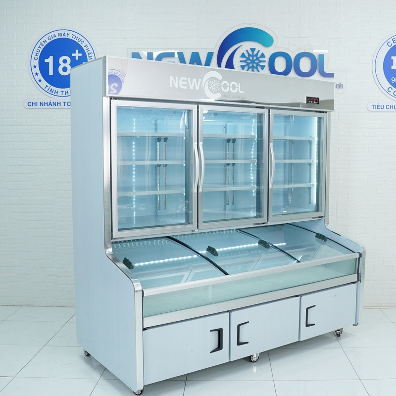Tủ Trưng Bày 3 Chế Độ 2M1 Cao Cấp HY-2100FKT (Mát, Đông Mềm, Đông Lạnh) - 0