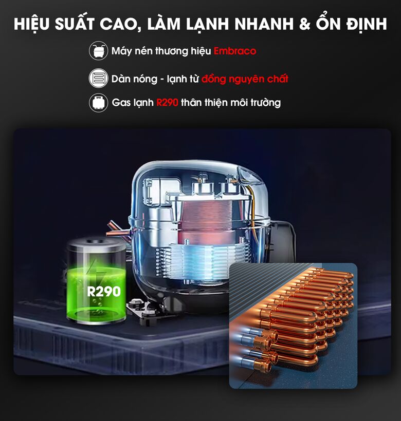 Hệ thống làm lạnh với máy nén thương hiệu, gas R290 và dàn đồng nguyên chất Hệ thống làm lạnh với máy nén thương hiệu, gas R290 và dàn đồng nguyên chất