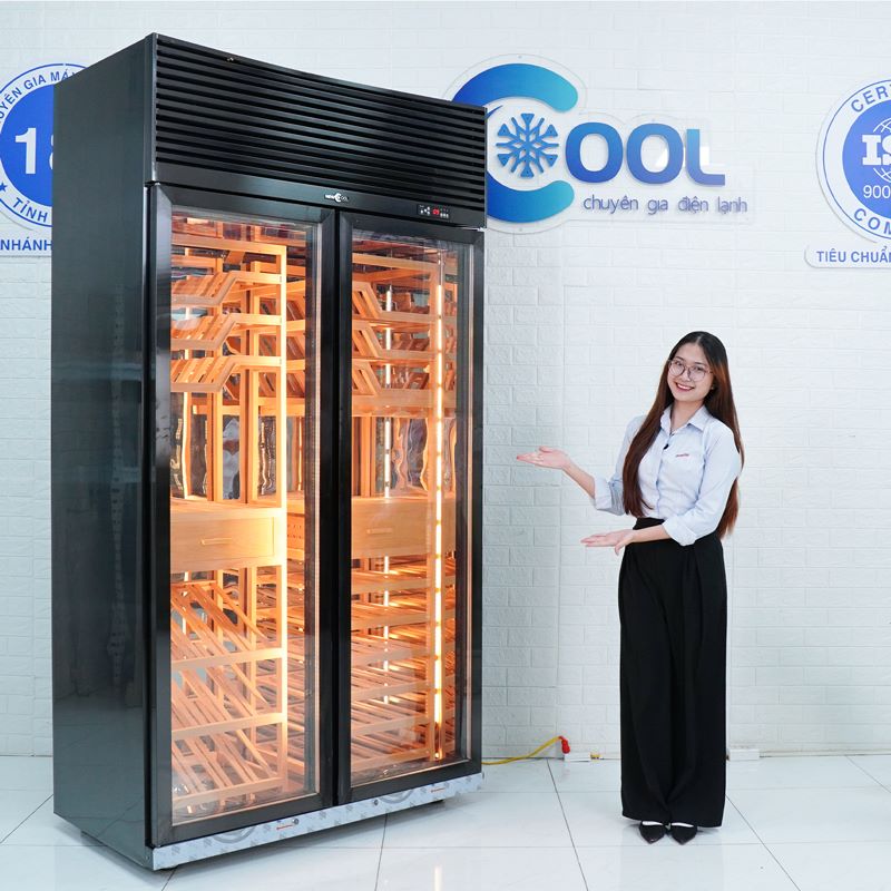 Tủ bảo quản rượu vang 2 cánh