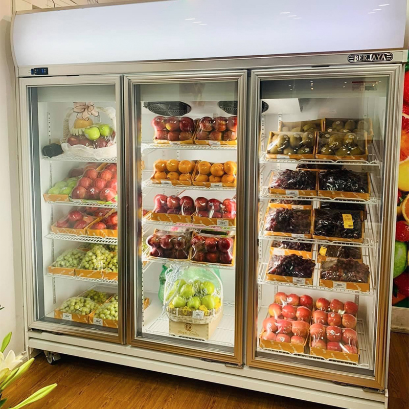 Tủ mát siêu thị hãng nào tốt? TOP 5 thương hiệu uy tín