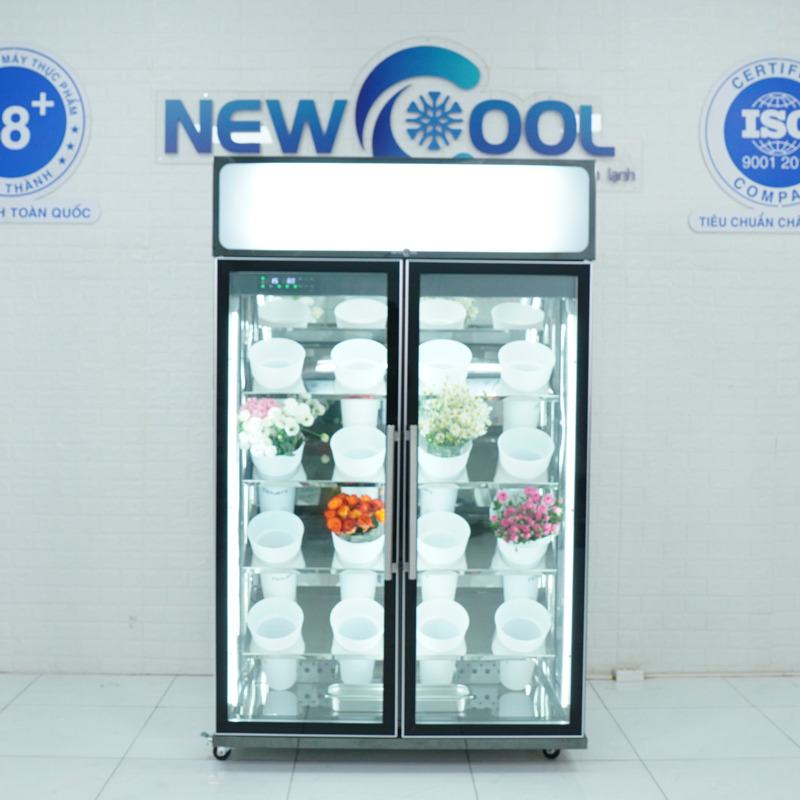 Tủ mát trưng bày hoa tươi 2 cánh ZXY-F012 - 1