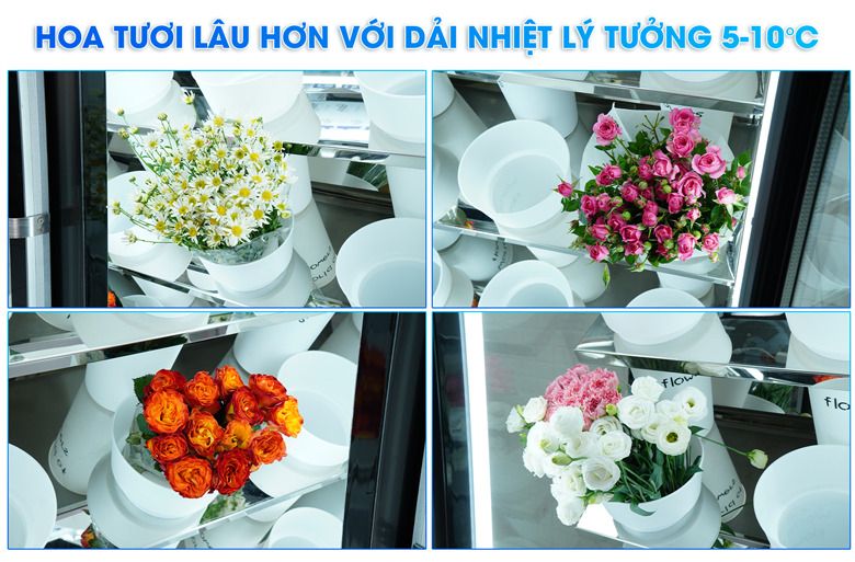 Các bó hoa luôn tươi mới, đầy sức sống