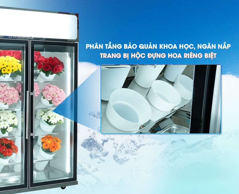 Phân tầng bảo quản, chia riêng từng hộc chứa hoa tiện lợi