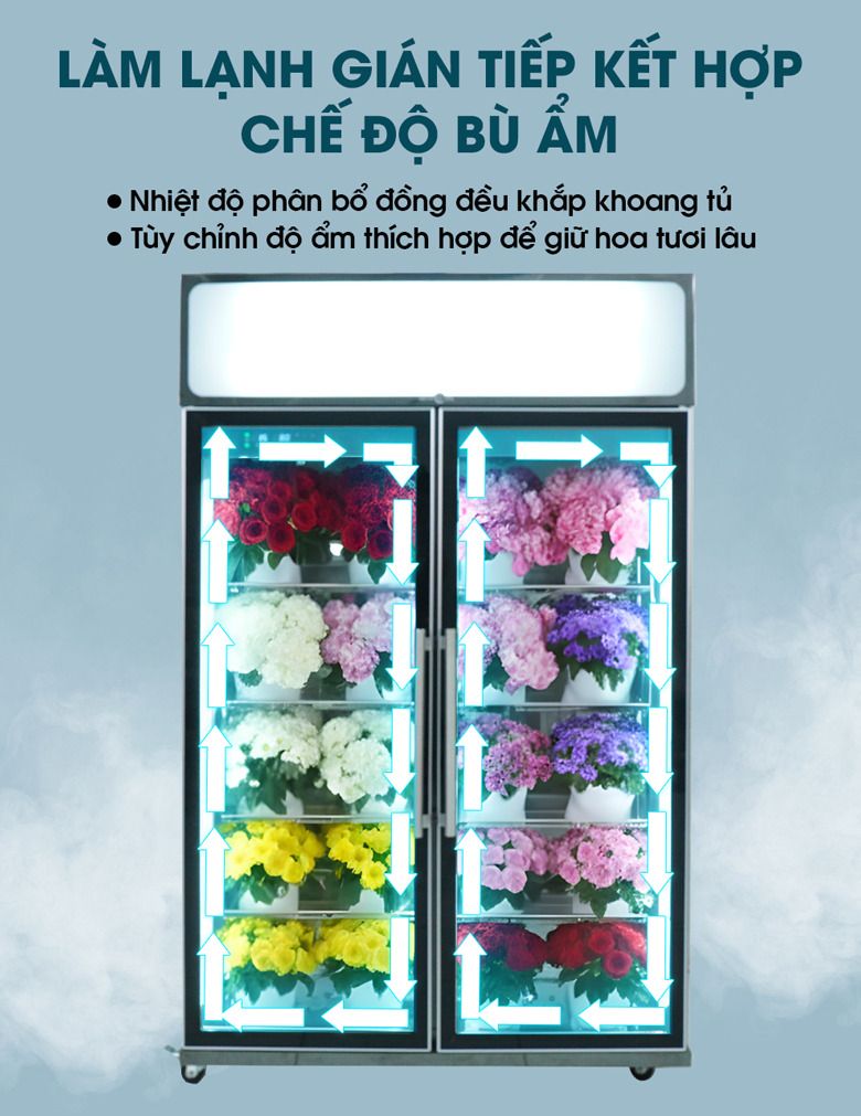 Hơi lạnh được phân bổ đều liên tục kèm theo chế độ bù ẩm