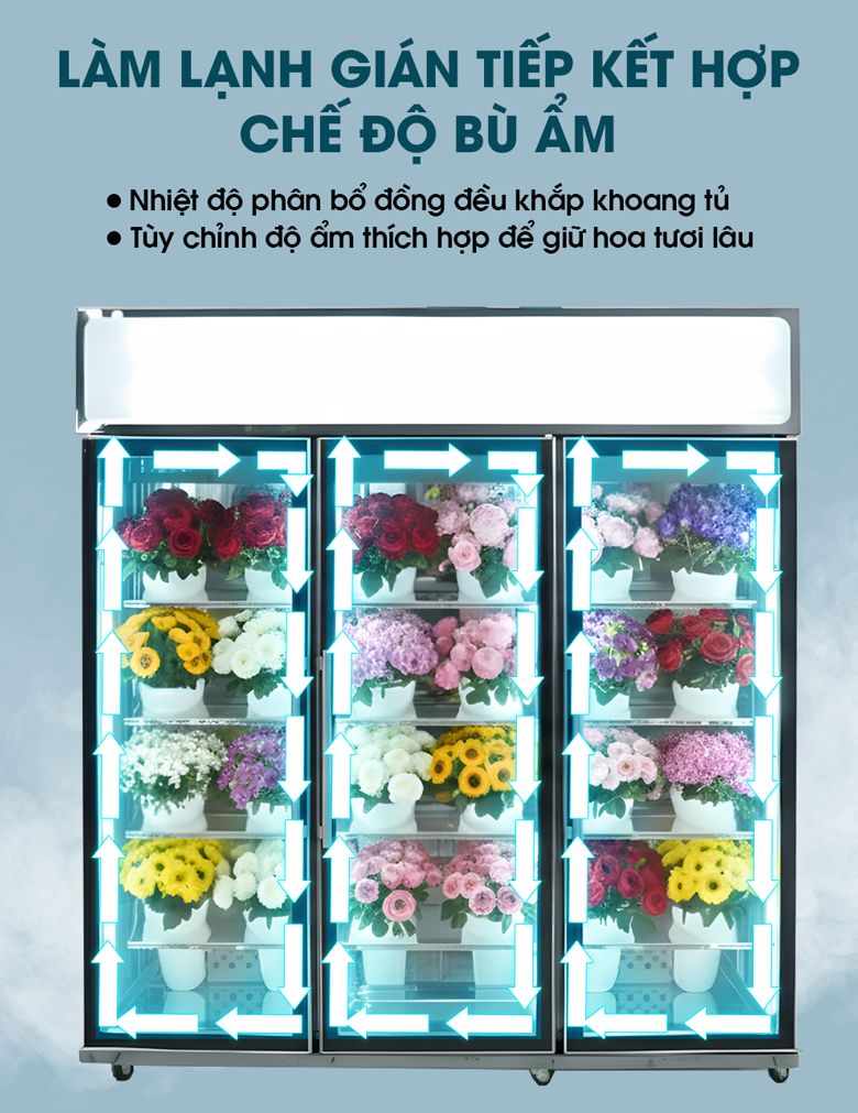 Khí lạnh phân bổ đồng đều khắp khoang tủ