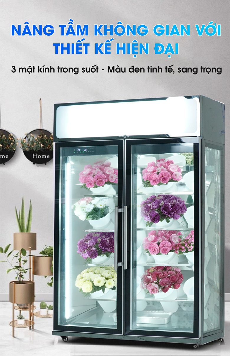 Thiết kế sang trọng làm nổi bật vẻ đẹp của các loại hoa tươi