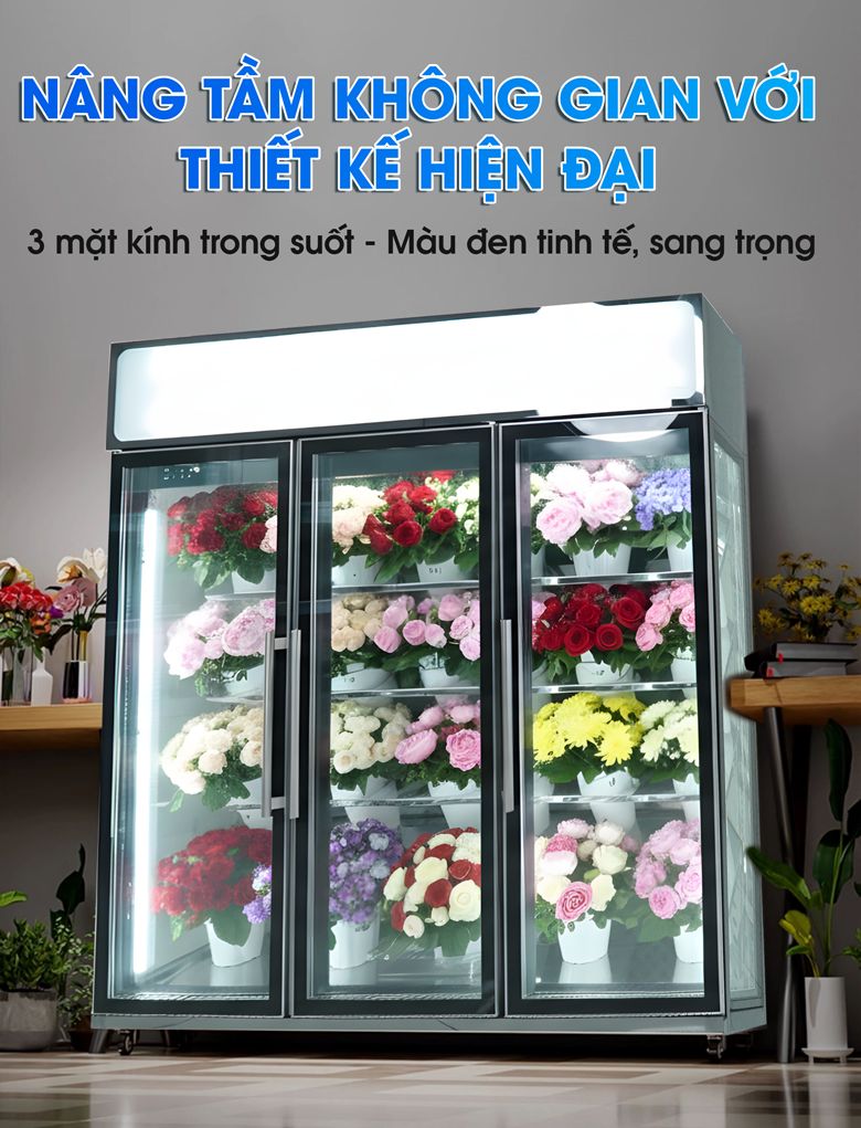 Kiểu dáng tinh tế, trưng bày hoa tươi thu hút