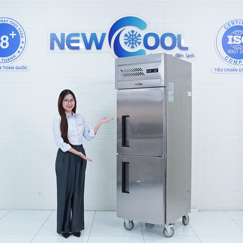 Tủ đông công nghiệp 2 cánh là gì ?