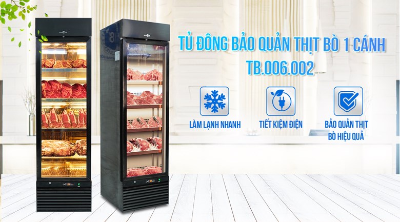 Tủ chuyên bảo quản đông lạnh