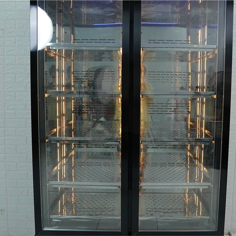 Tủ đông bảo quản thịt bò 2 cánh TB012.002 - 2
