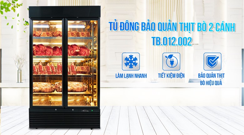 Tủ đông bảo quản thịt bò 2 cánh TB012.002