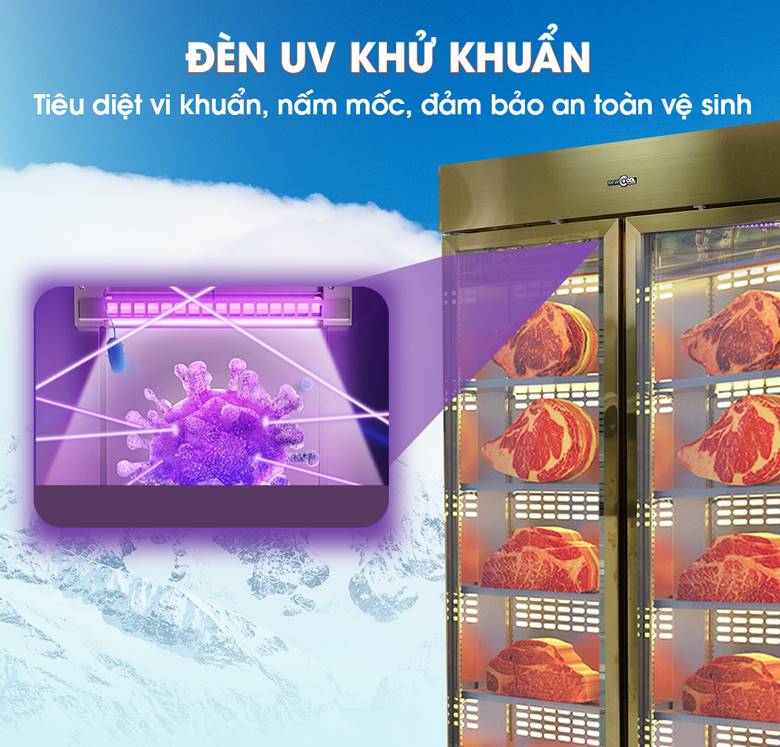 Trang bị đèn UV khử khuẩn, an toàn vệ sinh 
