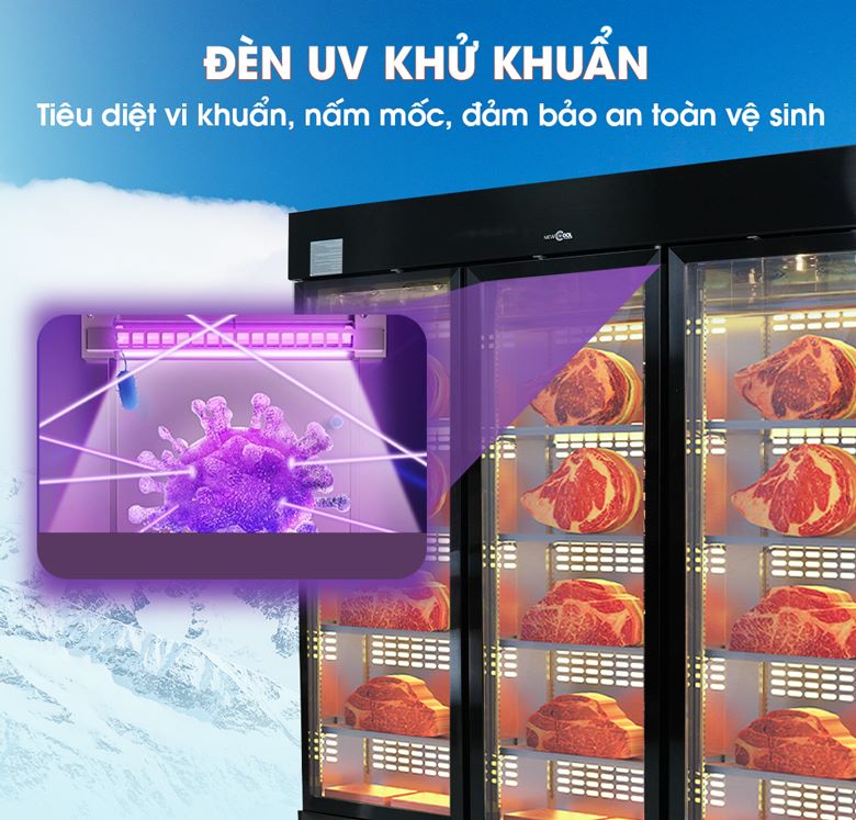 Hệ thống đèn UV khử khuẩn