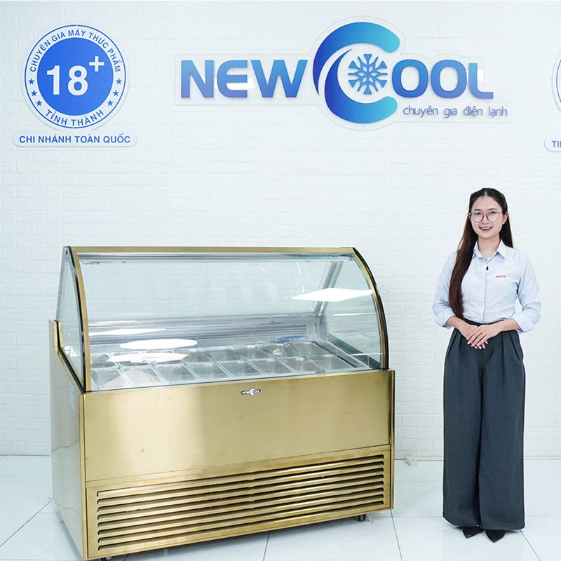 Tủ đông trưng bày kem tươi TQA15L - 0