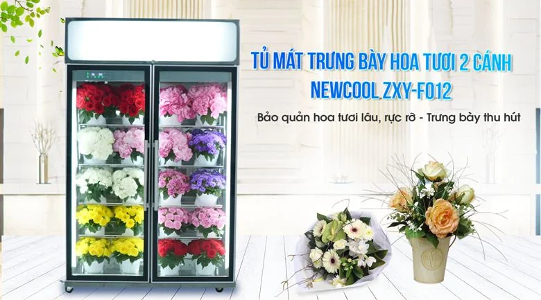 có nên mua tủ mát trưng bày hoa tươi không