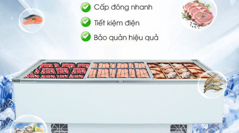 trưng bày thịt cá thì sử dụng tủ nào, tủ nằm