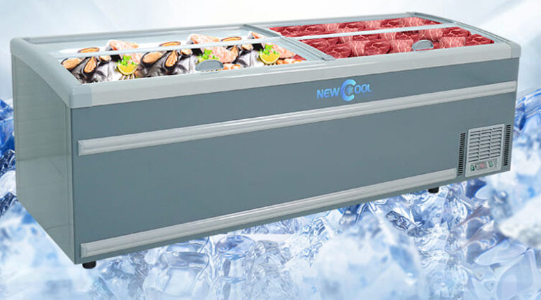 trưng bày thịt cá thì sử dụng tủ nào, tủ đông