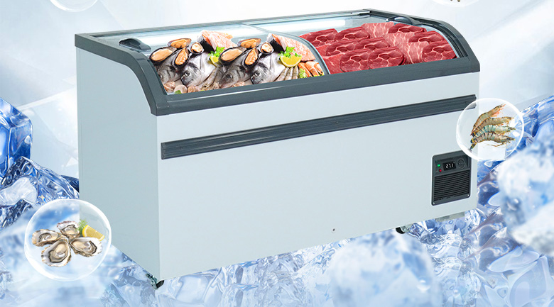 tủ đông nằm có kính hãng nào tốt, newcool