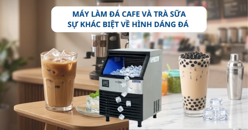 Máy làm đá cafe và trà sữa: Sự khác biệt về hình dáng đá