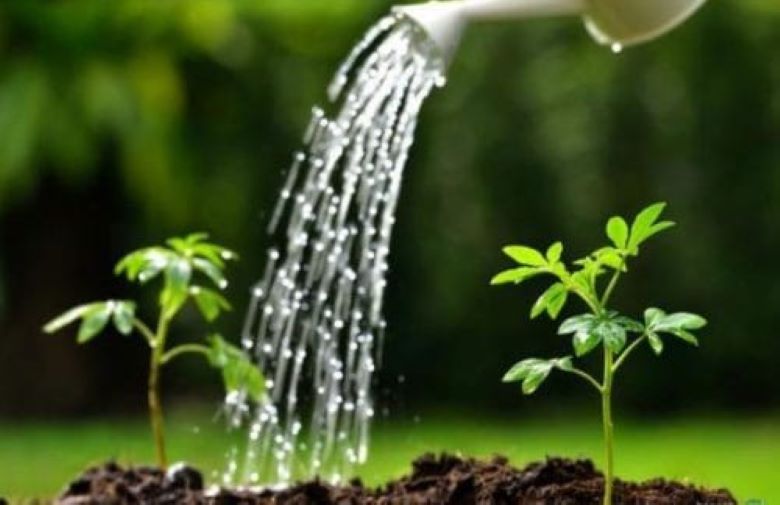 Thân thiện với môi trường