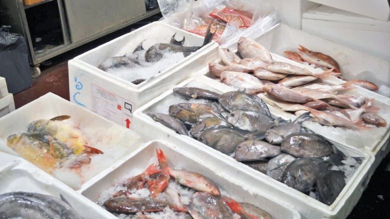 Máy tạo đá giúp ngư dân có đá để làm lạnh cá ngay sau khi đánh bắt 