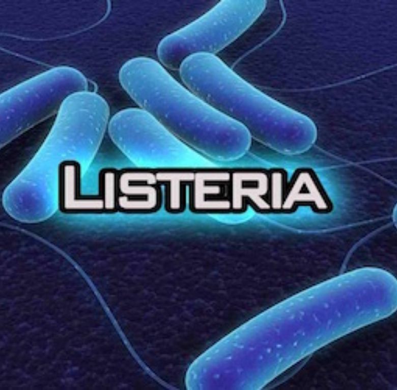 Vi khuẩn Listeria là gì?