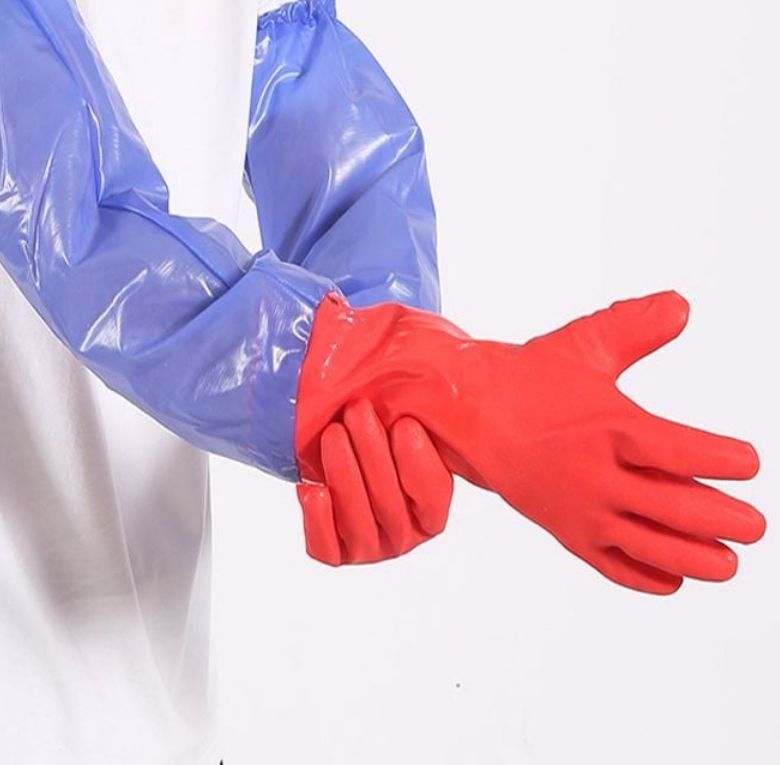 Nên chuẩn bị găng tay mềm để đảm bảo an toàn thực phẩm