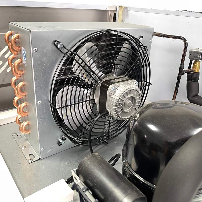Tủ đông công nghiệp 4 cánh inox GSG122.FL4 (có quạt gió) - 4