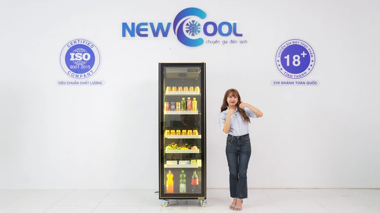 Tủ mát cánh kính 400L