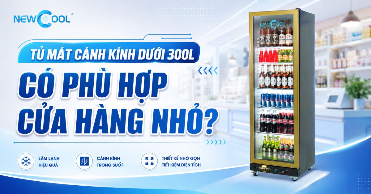 Tủ mát cánh kính 300L có phù hợp cửa hàng nhỏ?