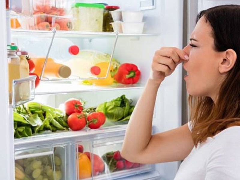 Có nhiều nguyên nhân khiến tủ mát cánh kính có mùi hôi 