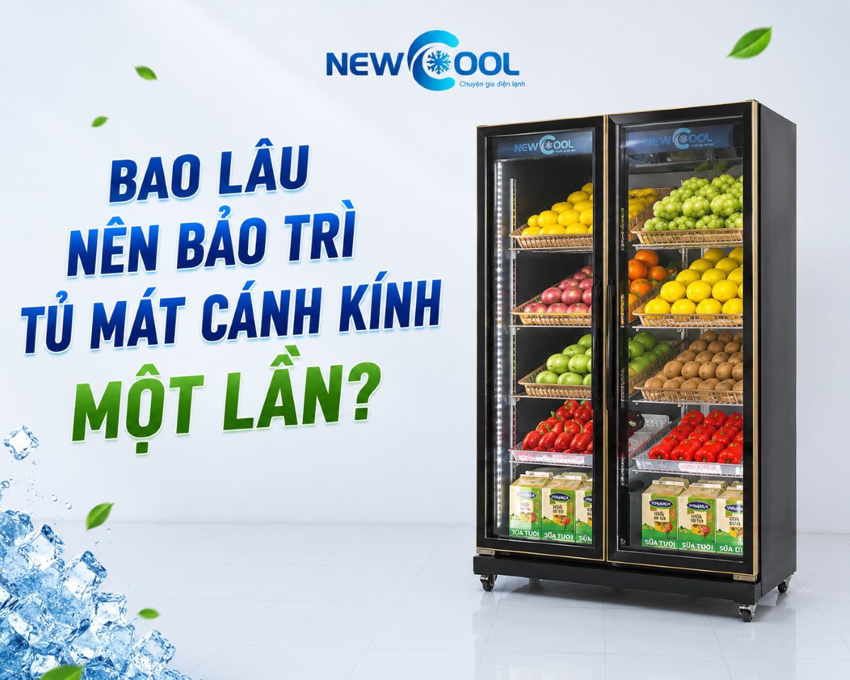 Bao lâu nên bảo trì tủ mát cánh kính một lần?