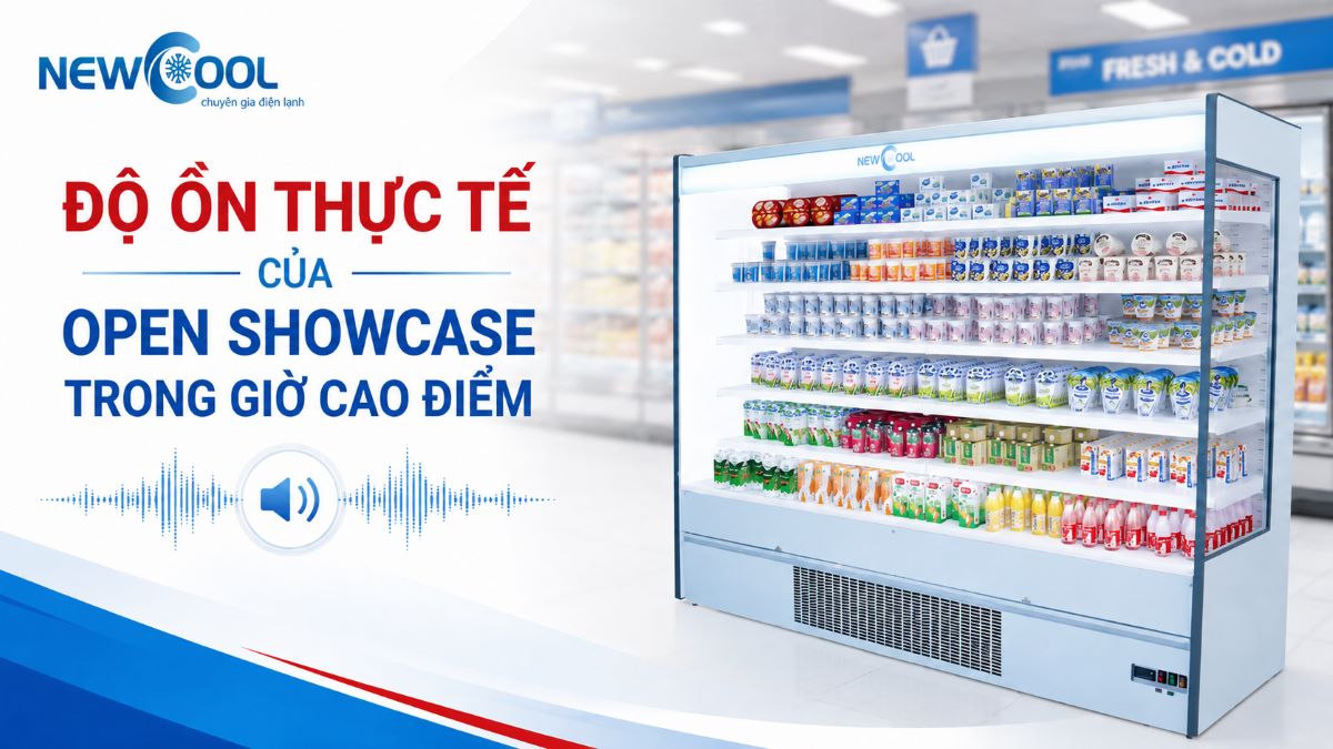 Độ ồn thực tế của Open Showcase trong giờ cao điểm là bao nhiêu?