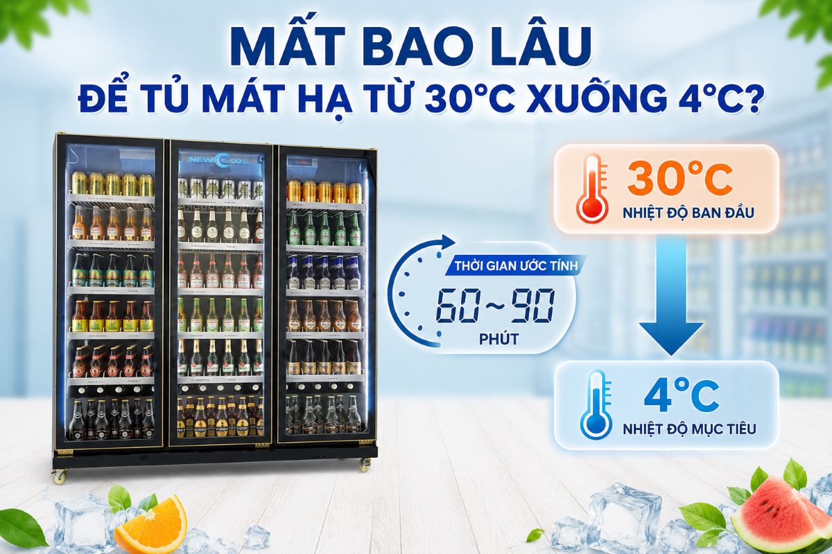 Mất bao lâu để tủ mát hạ từ 30°C xuống 4°C? Kết quả thử nghiệm
