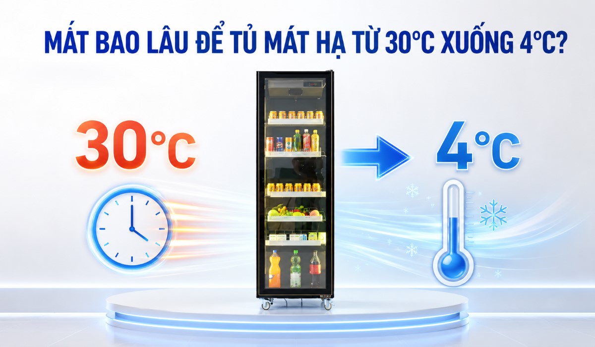 Mất bao lâu để tủ mát hạ từ 30°C xuống 4°C? kết quả thử nghiệm